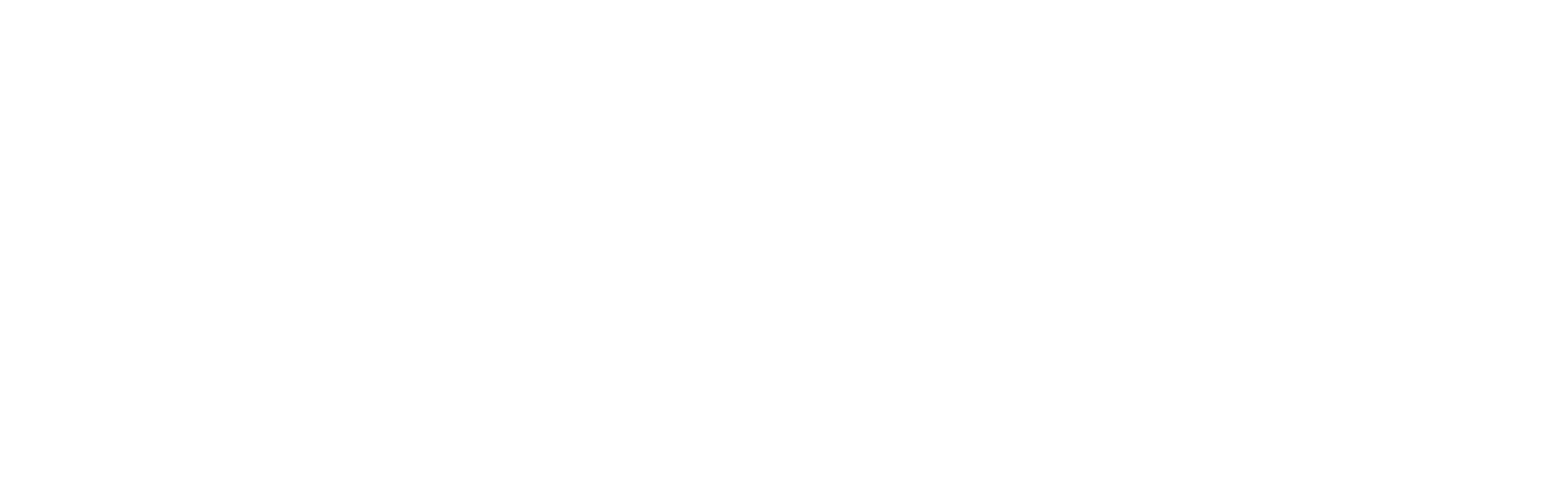 DZCO Logo
